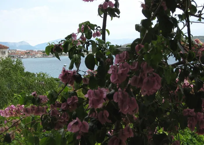 Stanko Appartement Trogir