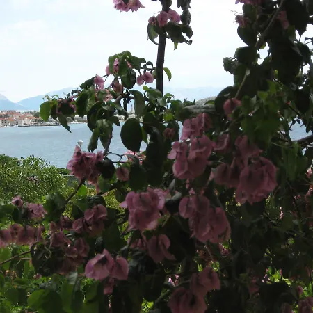 Stanko Apartman Trogir